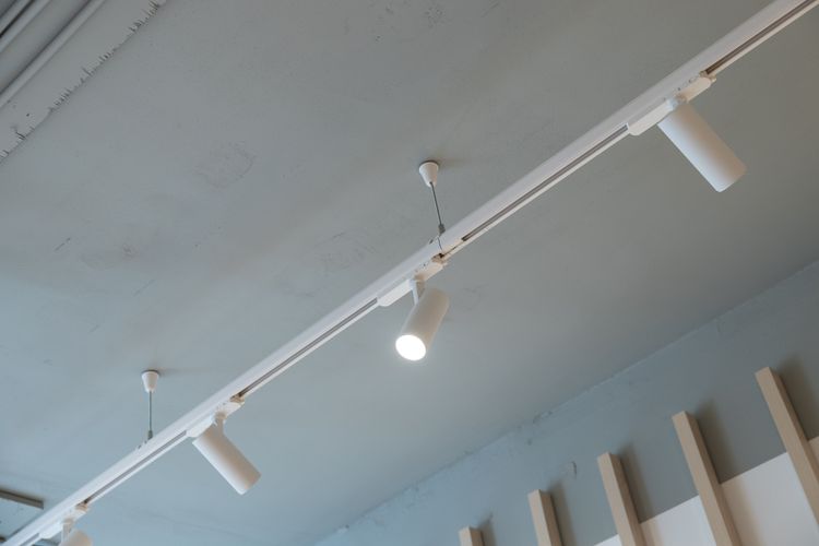 medium_Koi kanpai-18.jpg